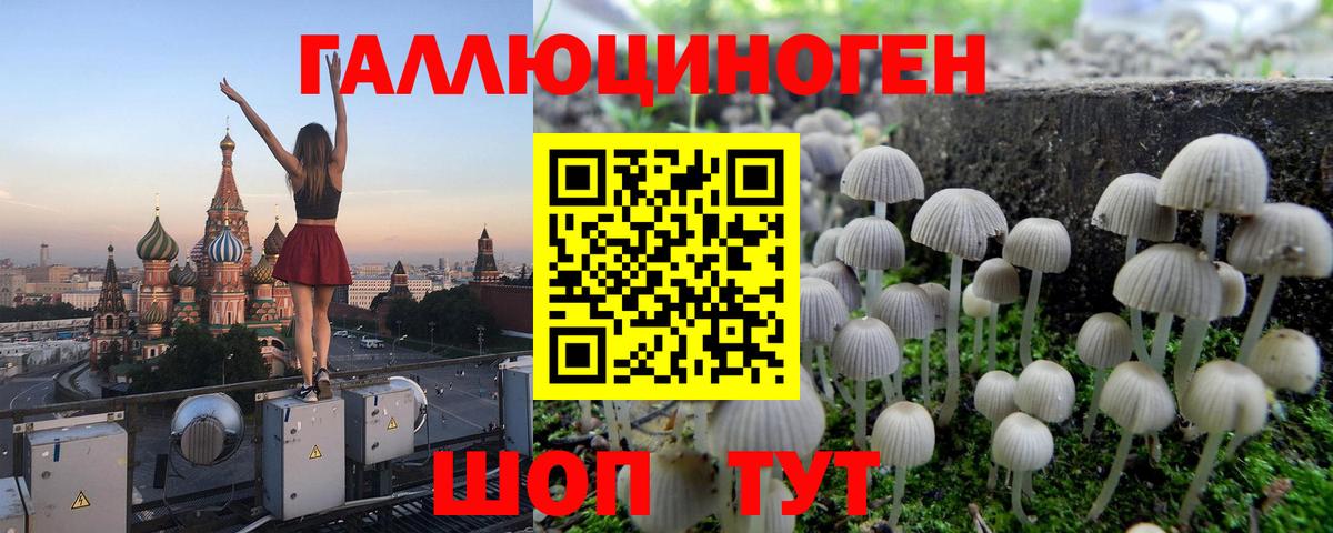 Галлюциногенные грибы Magic Shrooms  Псилоцибиновые грибы MAGIC MUSHROOMS  Вход с VPN  Сатка 